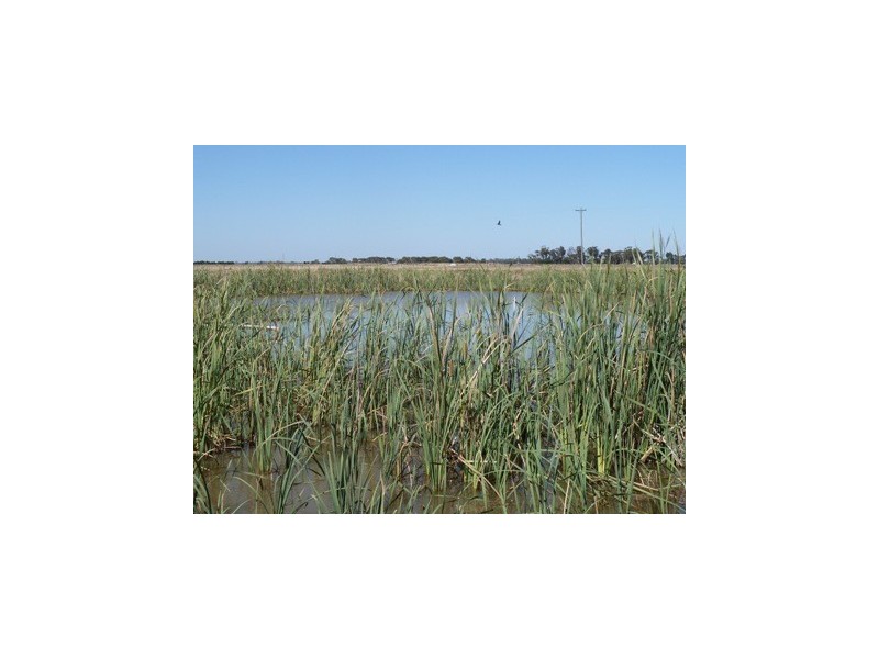 8455 SIMMIE ROAD, Echuca VIC 3564