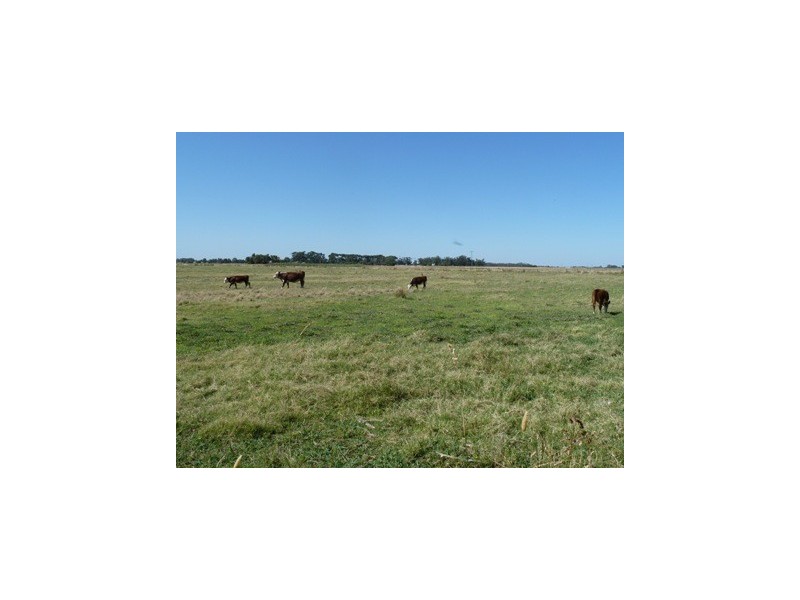 8455 SIMMIE ROAD, Echuca VIC 3564