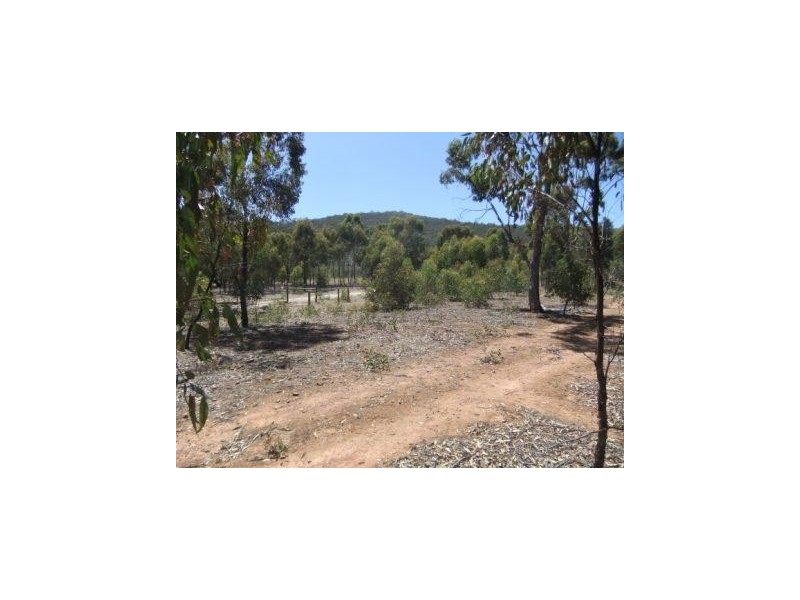 28 Forster Road, Landsborough VIC 3384