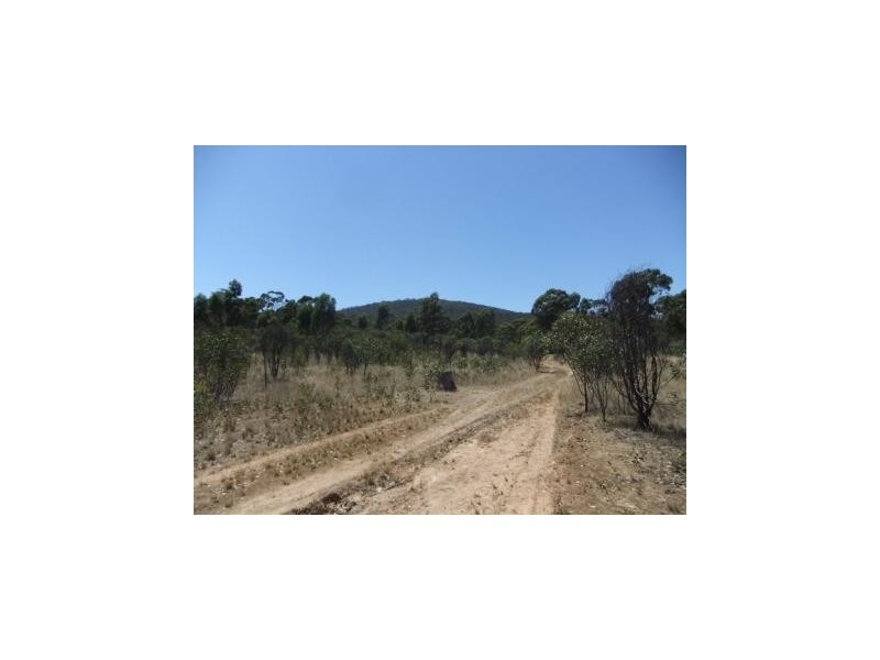 28 Forster Road, Landsborough VIC 3384