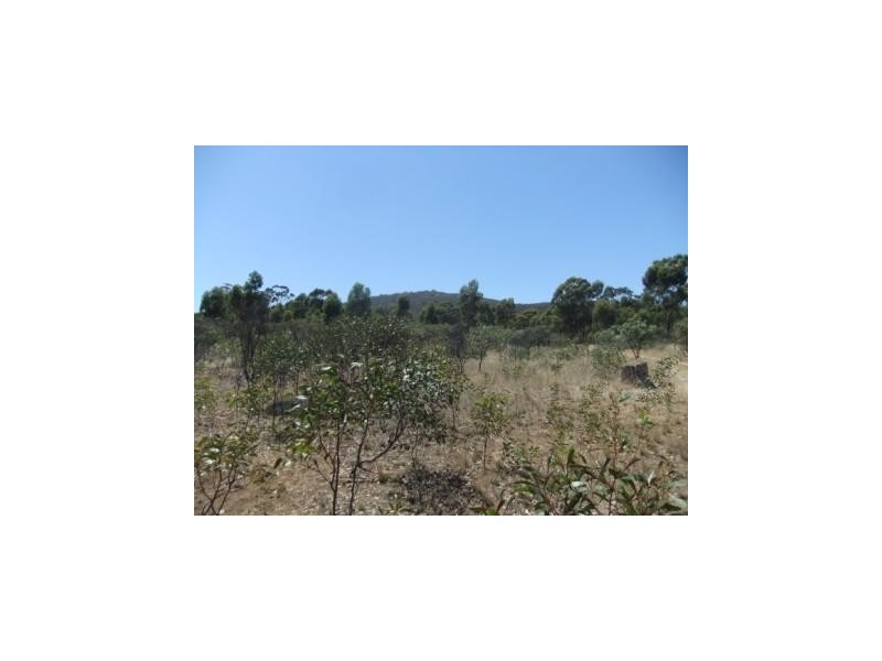 28 Forster Road, Landsborough VIC 3384