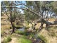 - Suttongrange Rd, Redesdale VIC 3444