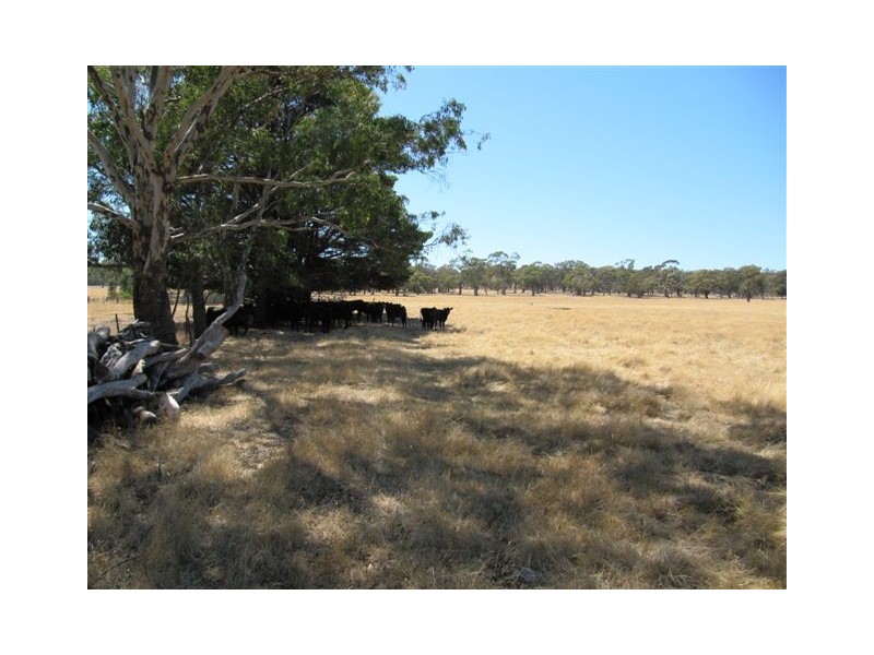 2A Redesdale Rd, Kyneton VIC 3444