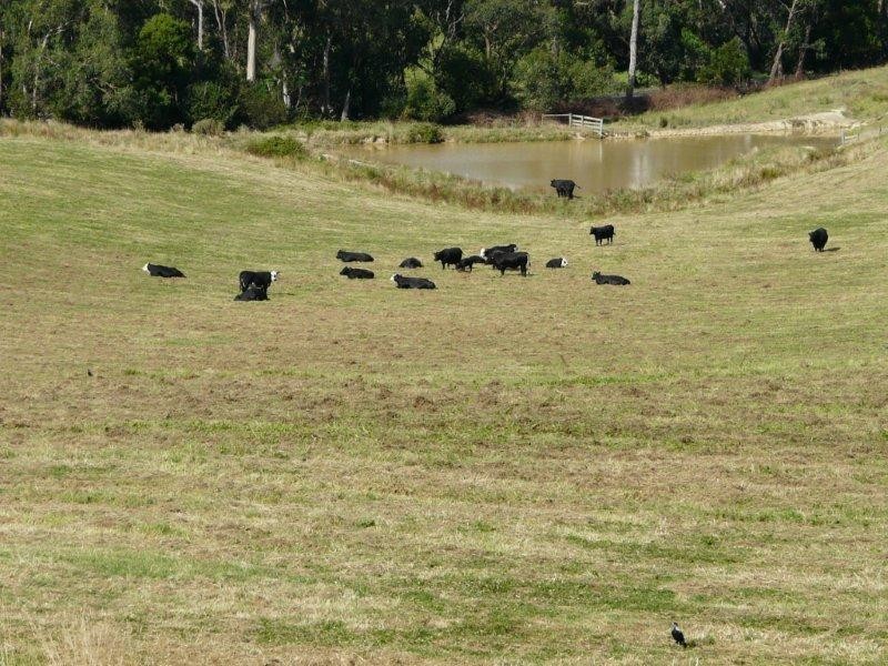 680 Beenak Road, Seville VIC 3139