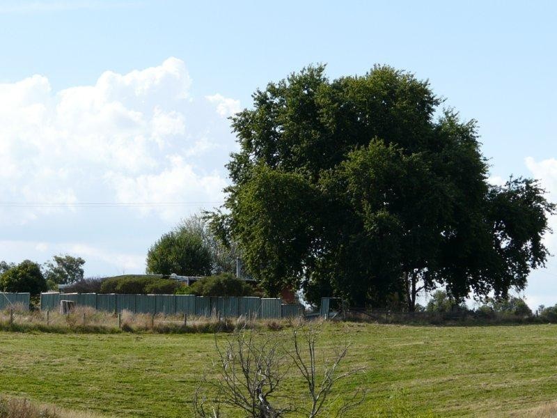 680 Beenak Road, Seville VIC 3139