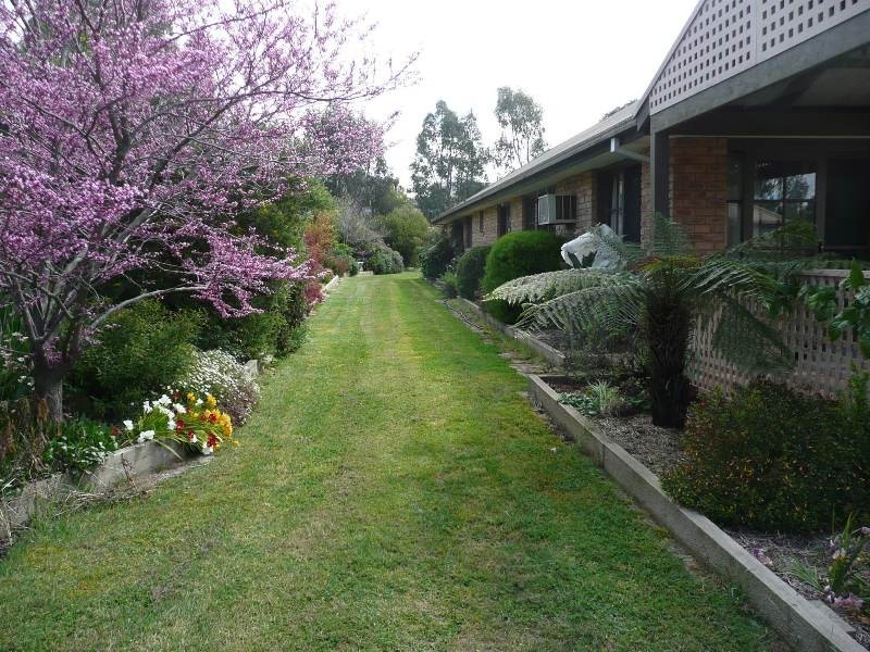 31 Girdwood Court, Alexandra VIC 3714