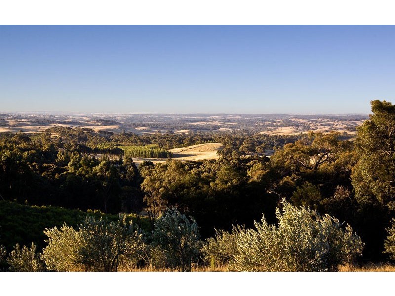 80 Dons Lane, Tooborac VIC 3522