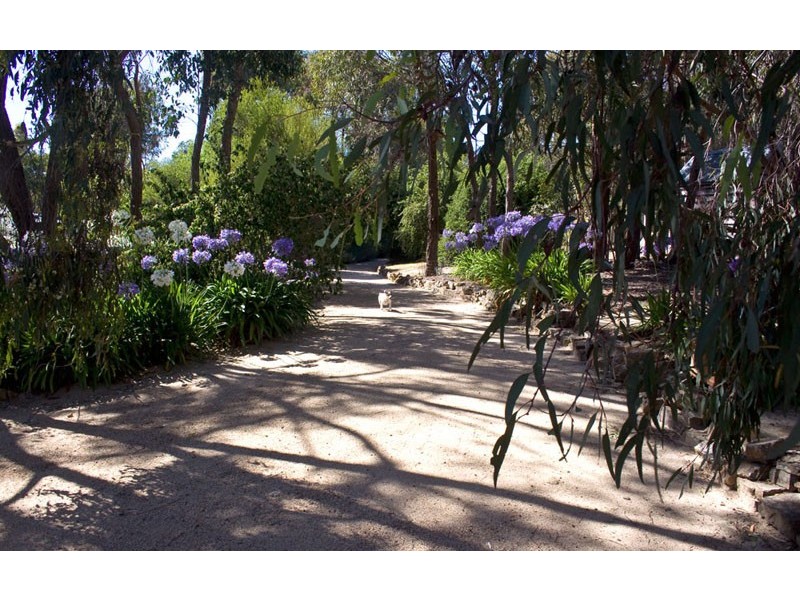 80 Dons Lane, Tooborac VIC 3522