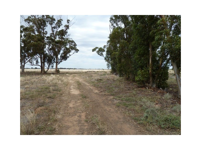 RMB McGowan Street, Womboota NSW 2731