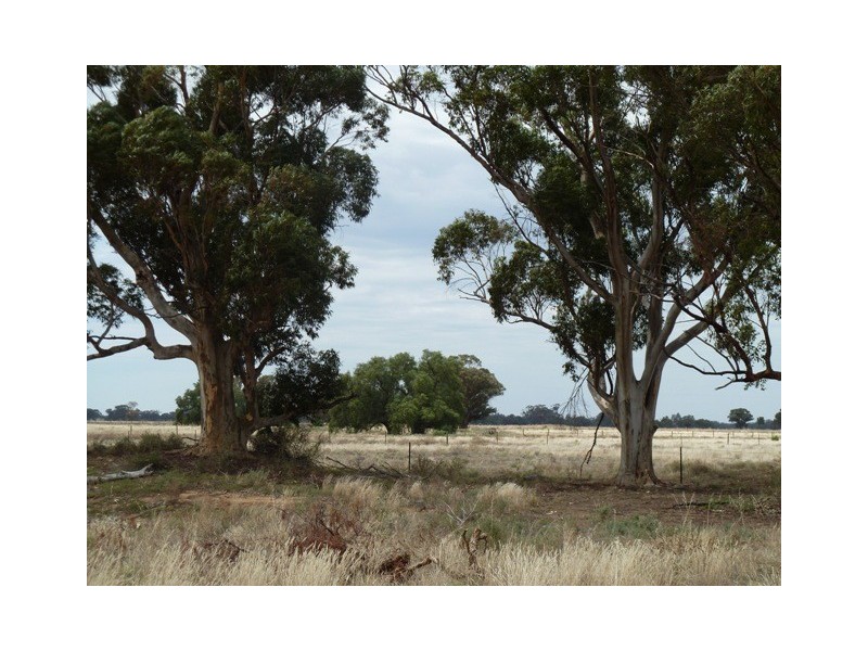 RMB McGowan Street, Womboota NSW 2731