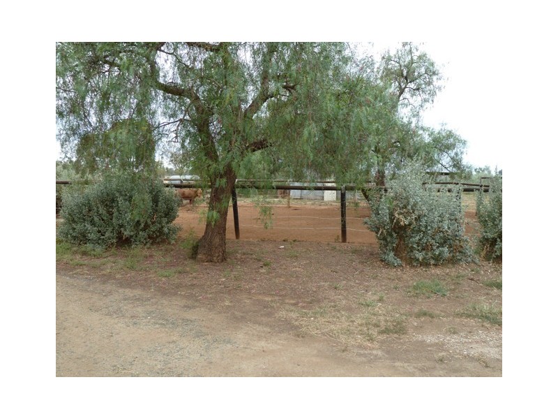 NA Perricoota Street, Womboota NSW 2731