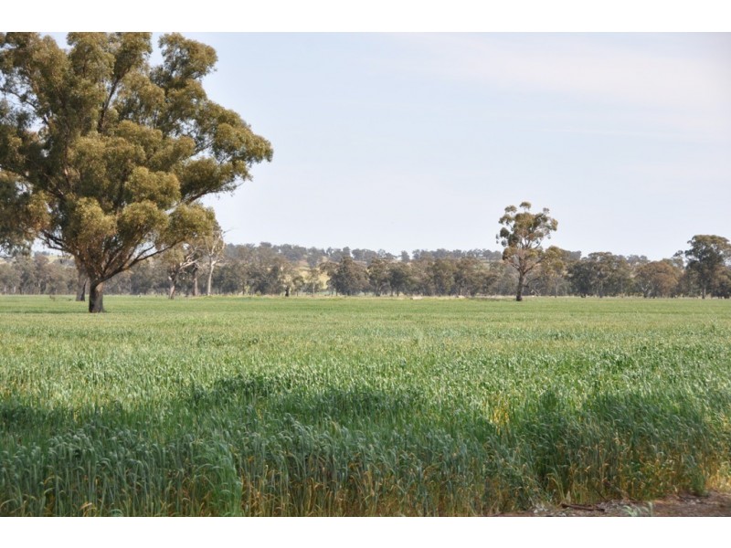 Dookie Devenish Road, Boxwood VIC 3725