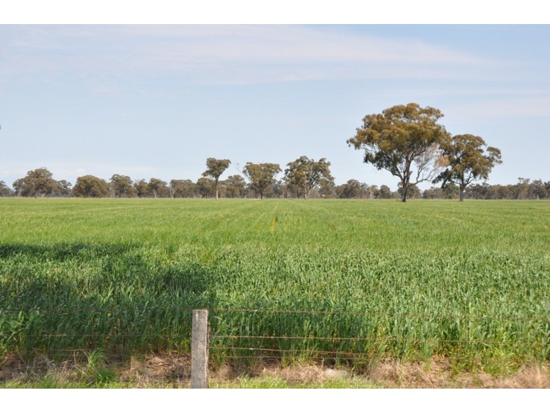 Dookie Devenish Road, Boxwood VIC 3725