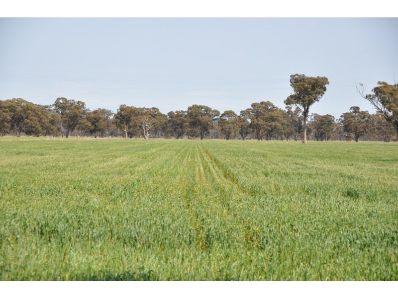 Dookie Devenish Road, Boxwood VIC 3725