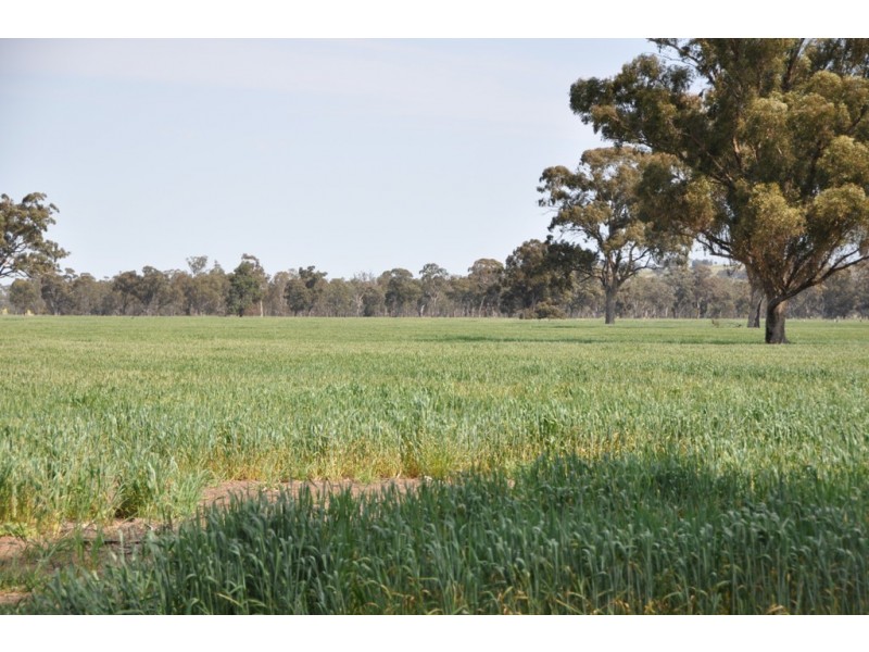 Dookie Devenish Road, Boxwood VIC 3725