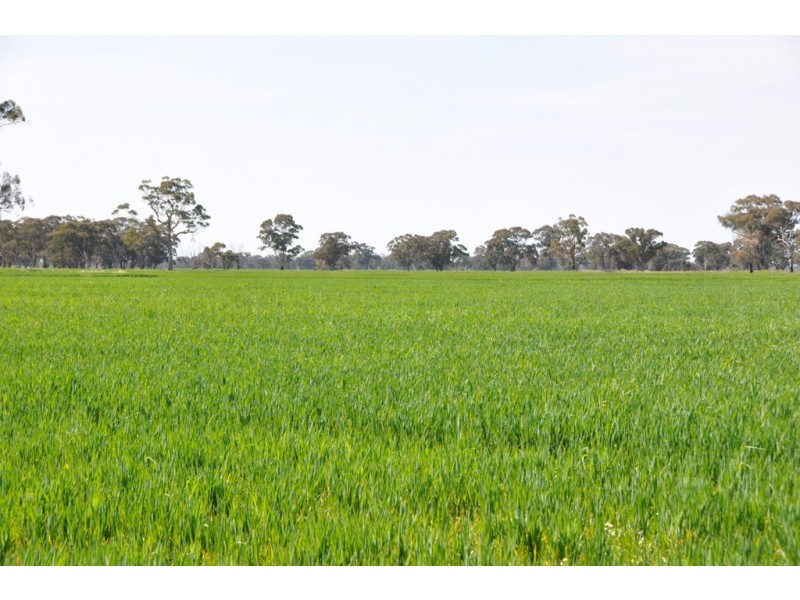 Dookie Devenish Road, Boxwood VIC 3725