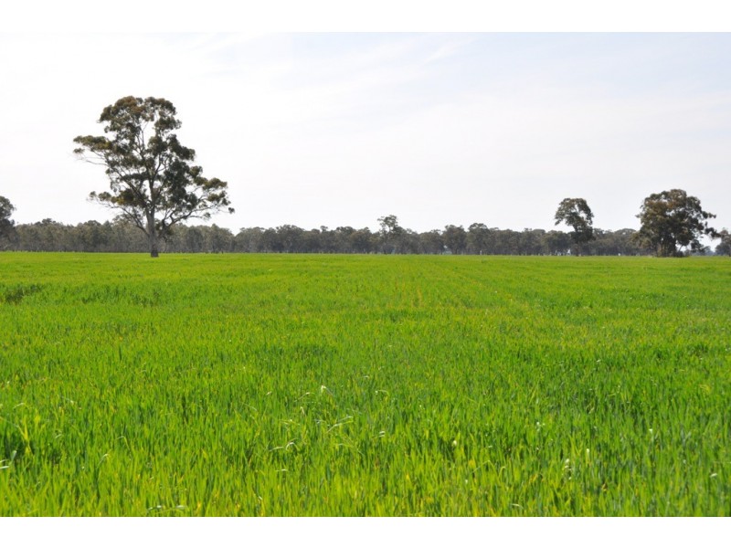 Dookie Devenish Road, Boxwood VIC 3725