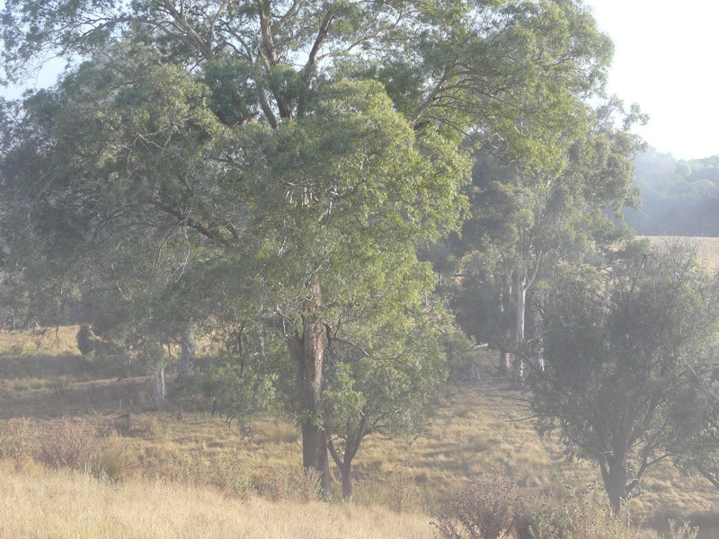 405 Healesville – Koo Wee Rup Road, Healesville VIC 3777