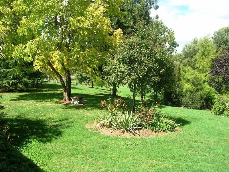 405 U.T Creek Rd, Alexandra VIC 3714