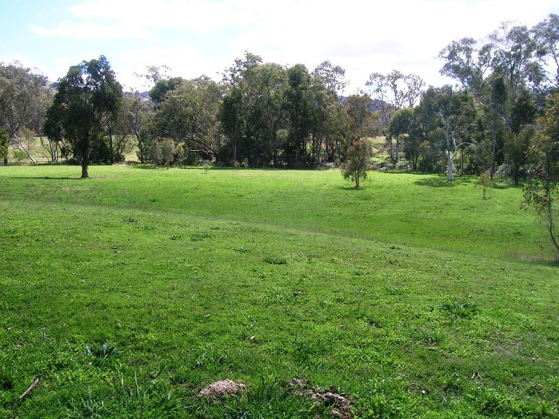 405 U.T Creek Rd, Alexandra VIC 3714