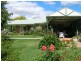 405 U.T Creek Rd, Alexandra VIC 3714
