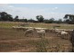 5085 Goulburn Valley Hwy, Strathmerton VIC 3641