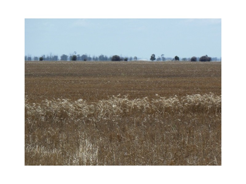 Echuca Murray River Country, Echuca VIC 3564