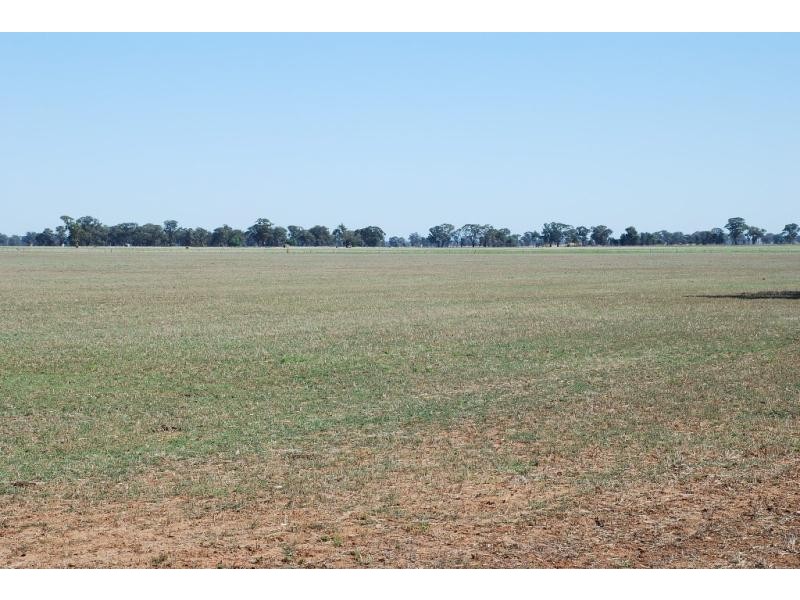 1701 Marungi Rd, Dookie VIC 3646