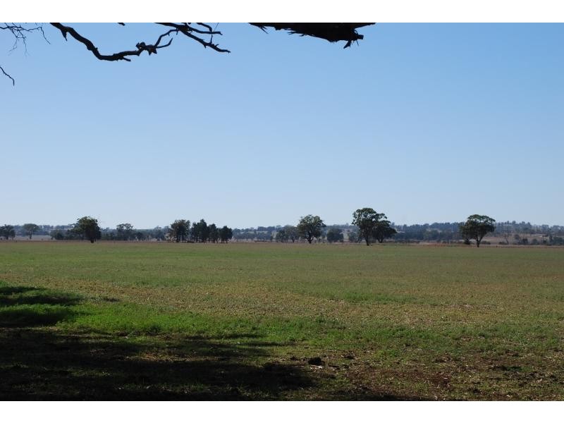 1701 Marungi Rd, Dookie VIC 3646