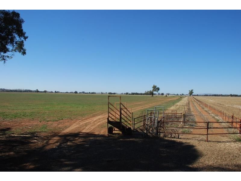 1701 Marungi Rd, Dookie VIC 3646