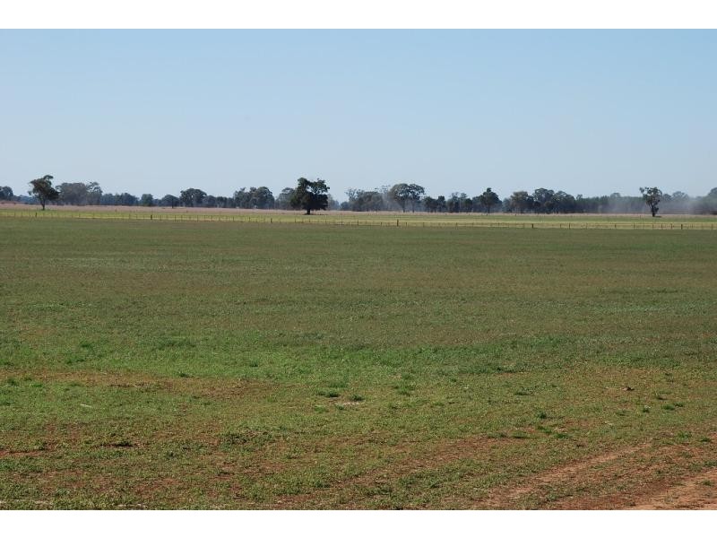 1701 Marungi Rd, Dookie VIC 3646