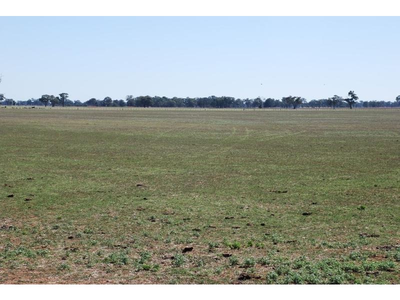 1701 Marungi Rd, Dookie VIC 3646