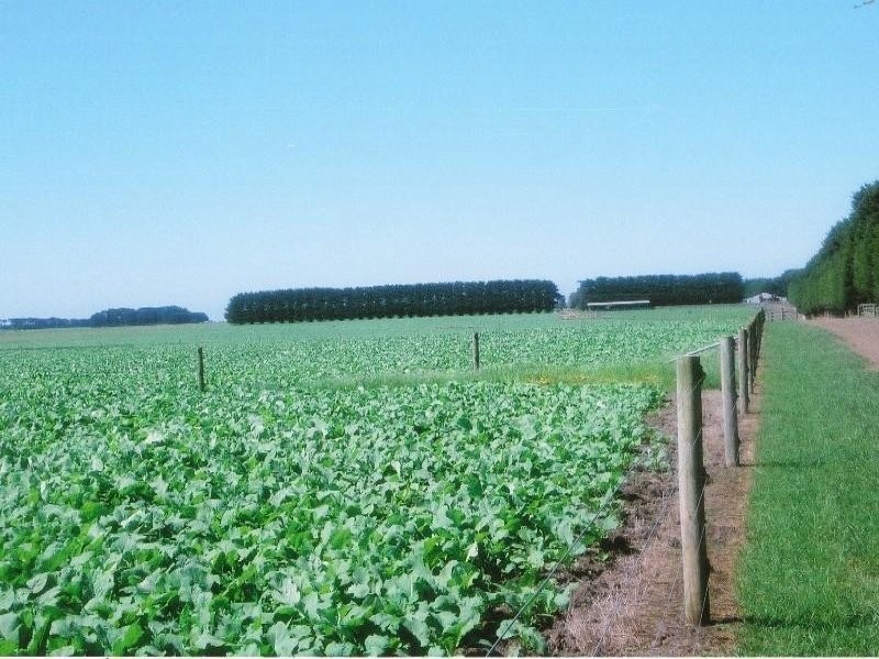 Woolsthorpe VIC 3276