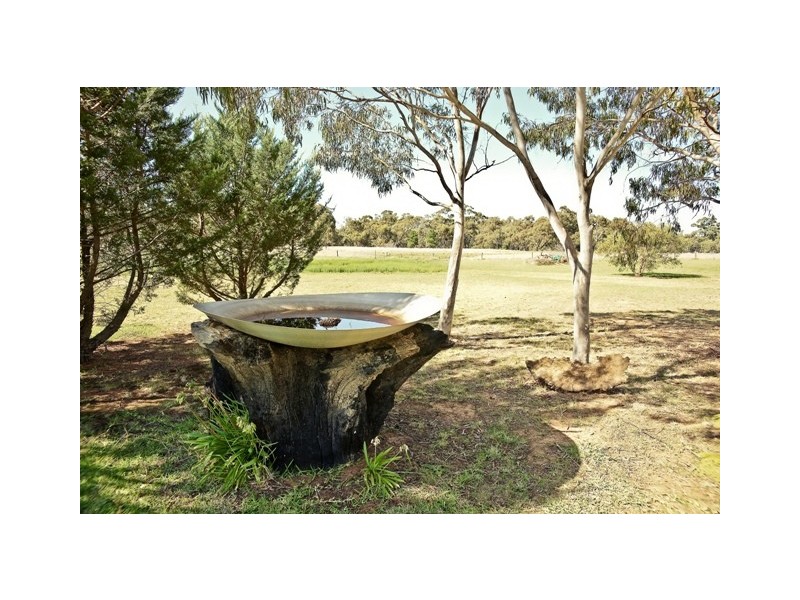 49 MATHESON  ROAD, Echuca VIC 3564