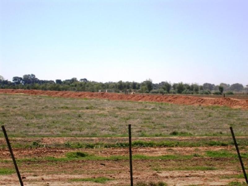 Mt Terricks Road, Echuca VIC 3564