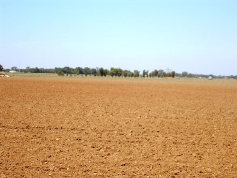 Mt Terricks Road, Echuca VIC 3564