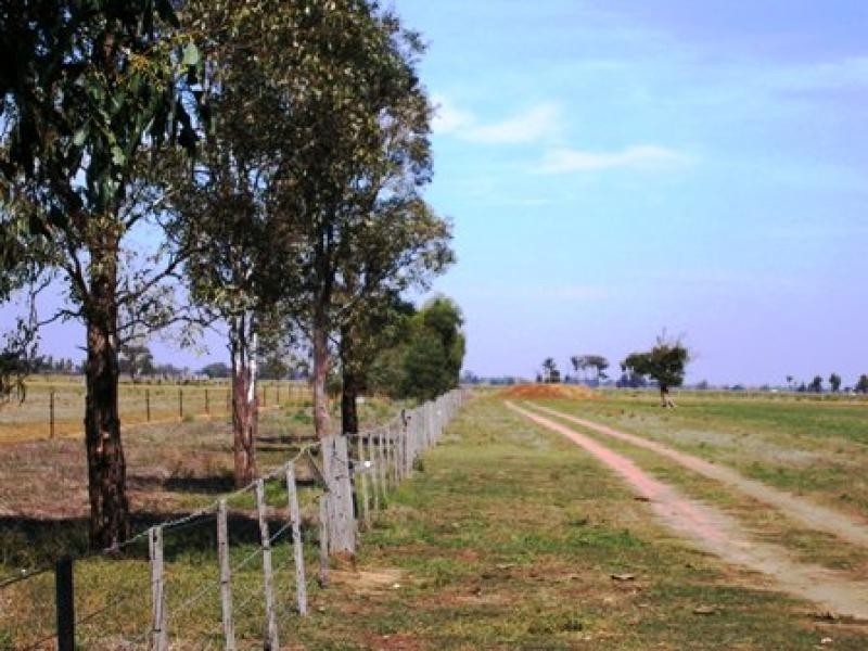 Mt Terricks Road, Echuca VIC 3564