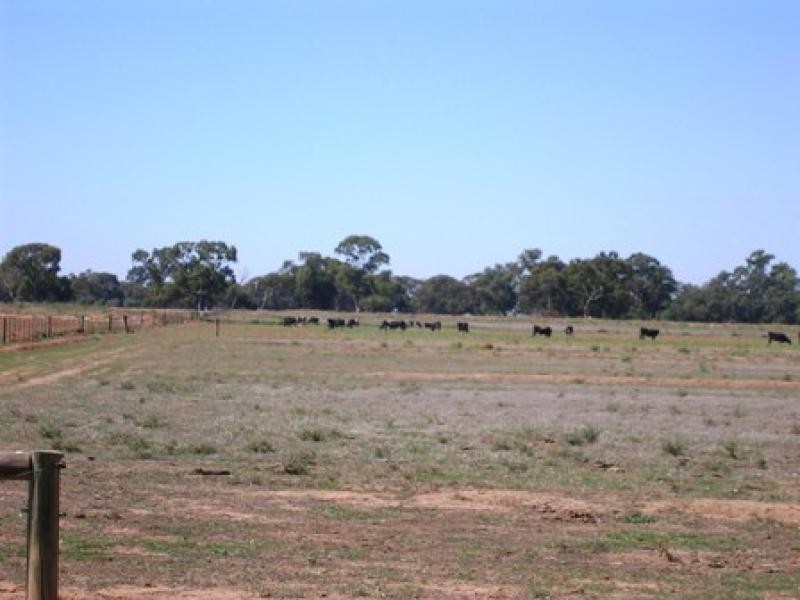 Mt Terricks Road, Echuca VIC 3564