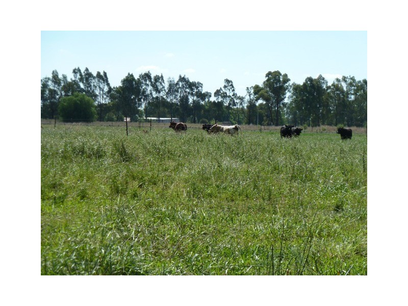 na Prairie Road, Ballendella VIC 3561