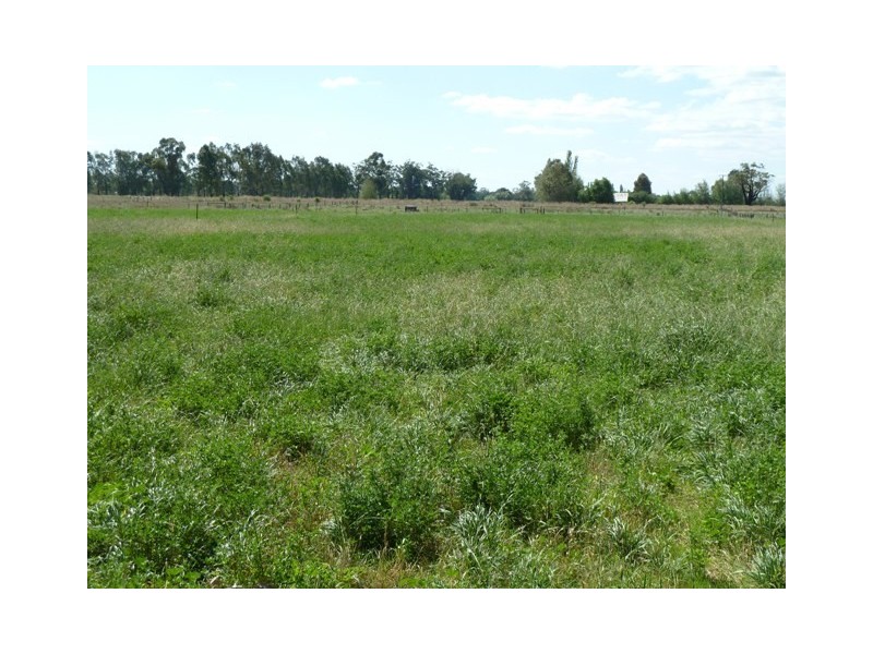 na Prairie Road, Ballendella VIC 3561