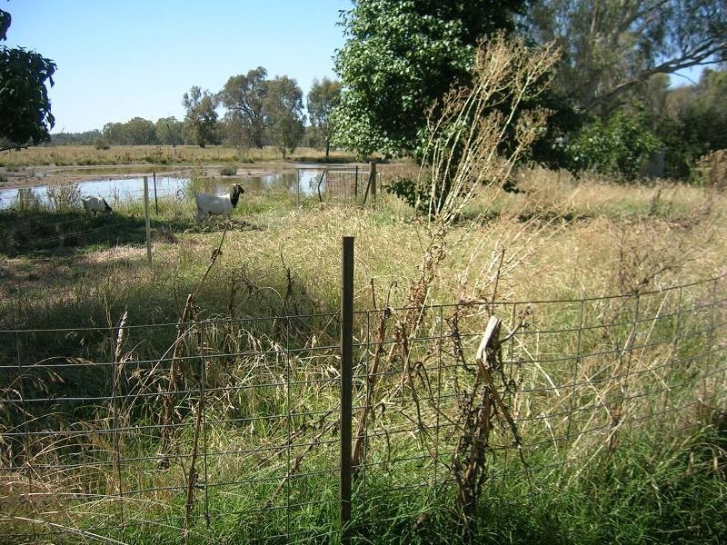 86 Markwood-Tarrawingee Road, Markwood VIC 3678