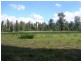 16 Stoney Creek Court, Narbethong VIC 3778