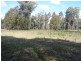 16 Stoney Creek Court, Narbethong VIC 3778