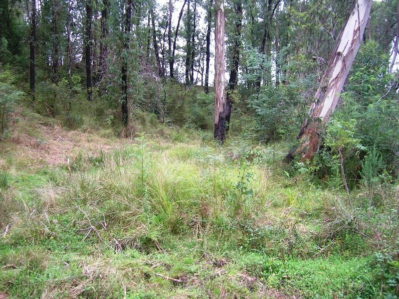 16 Stoney Creek Court, Narbethong VIC 3778