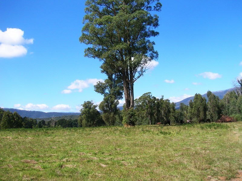 16 Stoney Creek Court, Narbethong VIC 3778