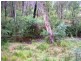 16 Stoney Creek Court, Narbethong VIC 3778