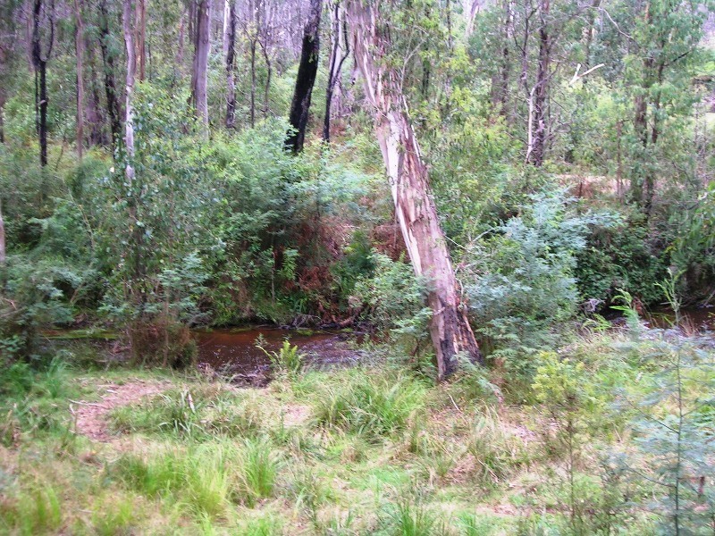 16 Stoney Creek Court, Narbethong VIC 3778