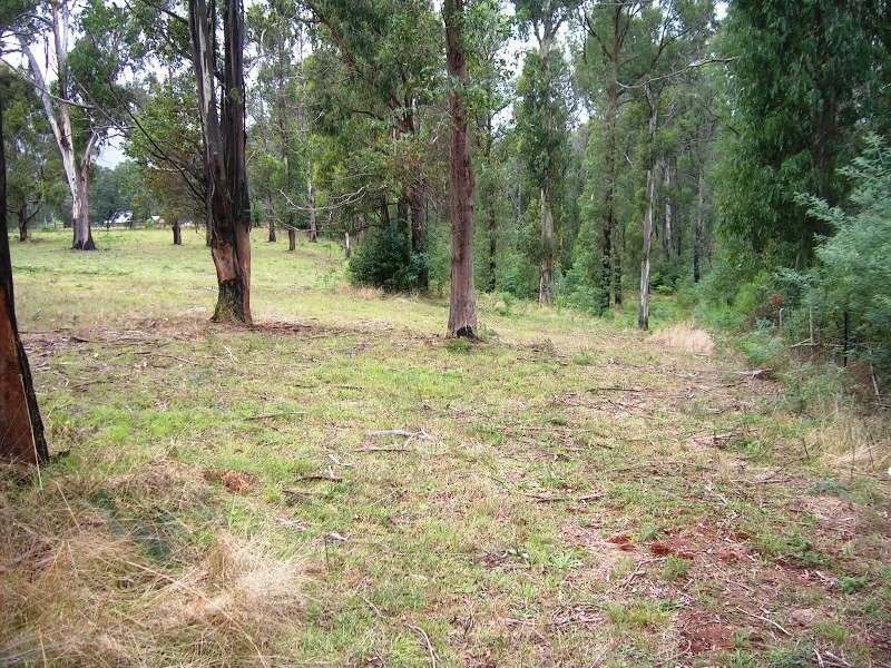 16 Stoney Creek Court, Narbethong VIC 3778