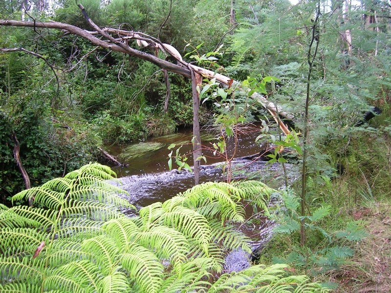 16 Stoney Creek Court, Narbethong VIC 3778