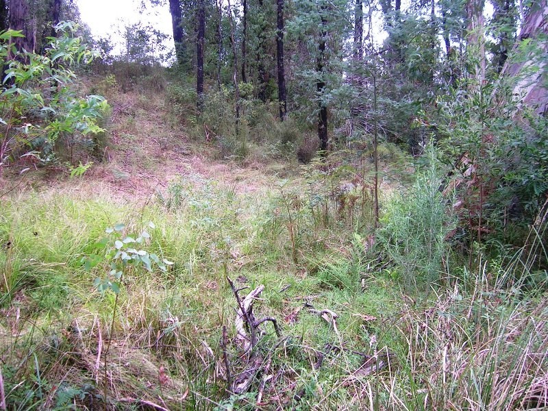 16 Stoney Creek Court, Narbethong VIC 3778